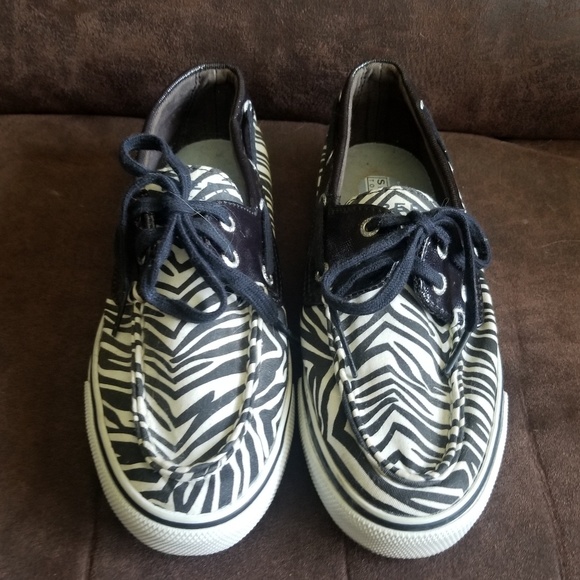 Zebra Sperrys - Picture 2 of 7
